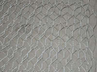 �߶���ʯ��